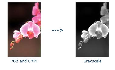 grayscale